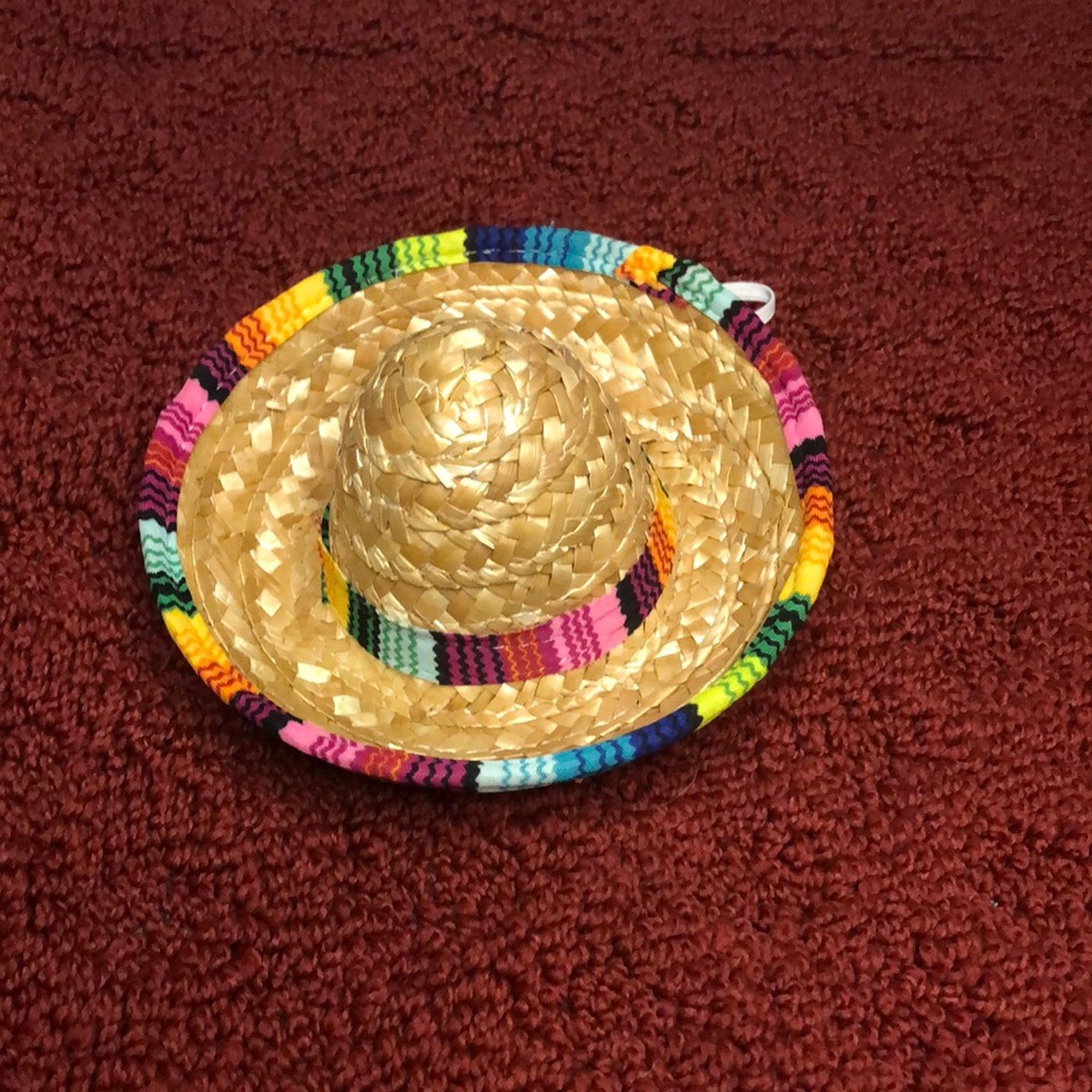 2 for $15 Miniature Dog Sombrero (bundle 2 items)